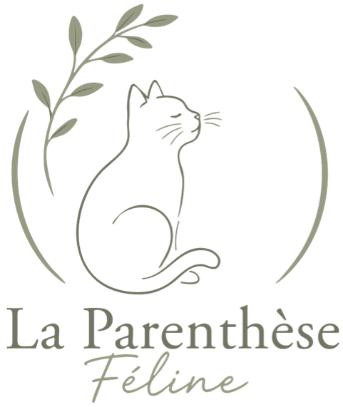 La Parenthèse Féline
